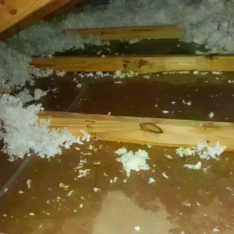 Attic Water Damage in Clay County, KY